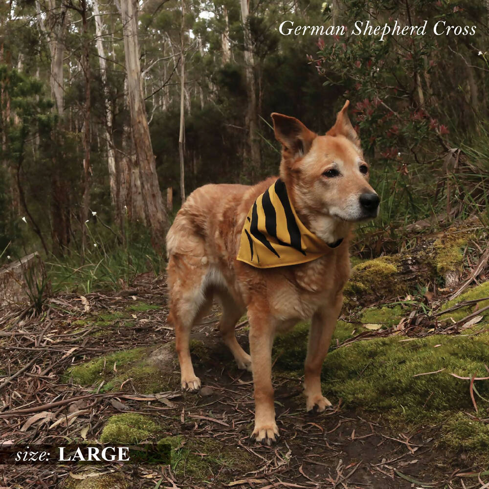 gold bandana_model_large_low res