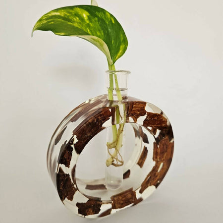 Clear Resin and Bark Plant Propagator Vase