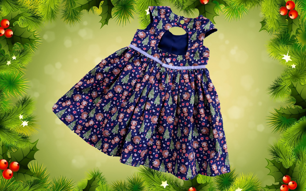 Baby Girls Xmas Dress, Echidna