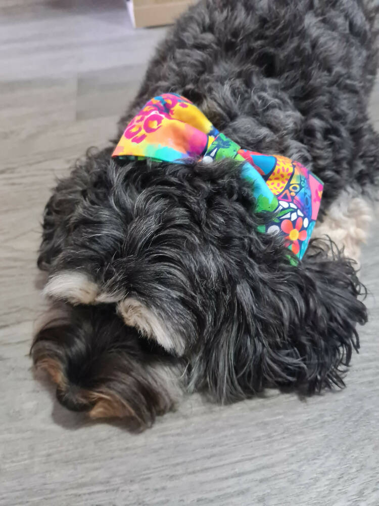 Pet Collar Bows - Colourful Abstract - Fabric Elastic Loops - Hair Bow