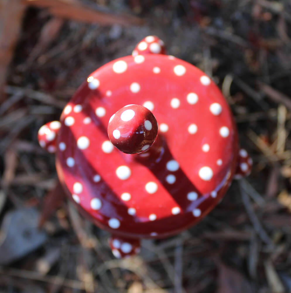Red and white spot pot mushroom
