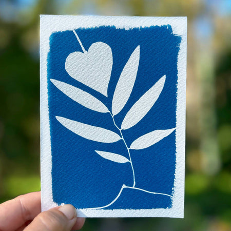 Botanical Art, Original Cyanotype, Plant Love. Postcard Size Art Print