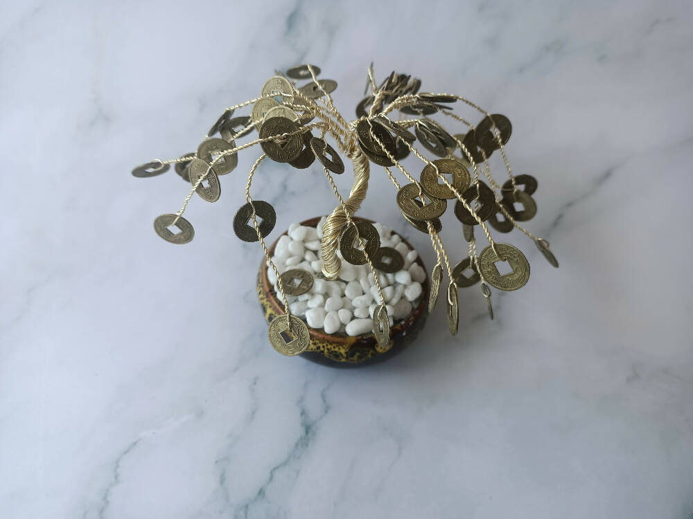 Feng Shui Lucky Coin Willow Tree for Good Luck Fortune and Blessings