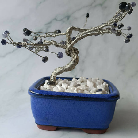 Iolite / Water Sapphire Specialty Gem Tree - 49 gems per tree