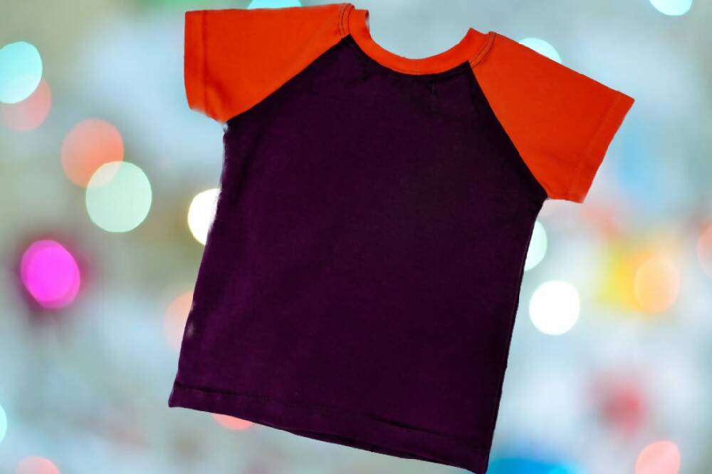 Boys T-Shirt, Monster Skate, Orange, Size 5