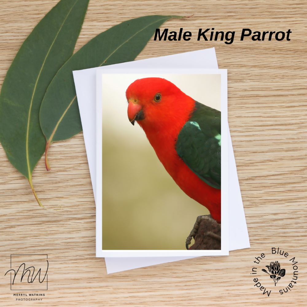 Blank Greeting Card - Male King Parrot Photo