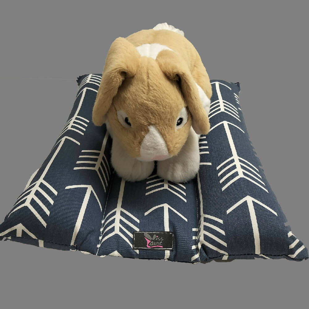 IMG20230326134621 blue arrow snuggle bed 1400