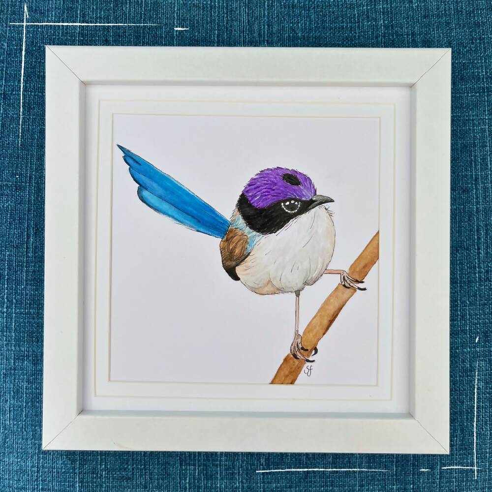Purple-crowned fairy wren frame