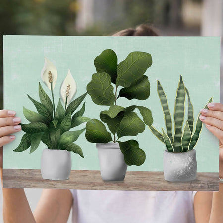 Art Print - Peace Lily, Fiddle Leaf Fig, Snake Plant- house plant series
