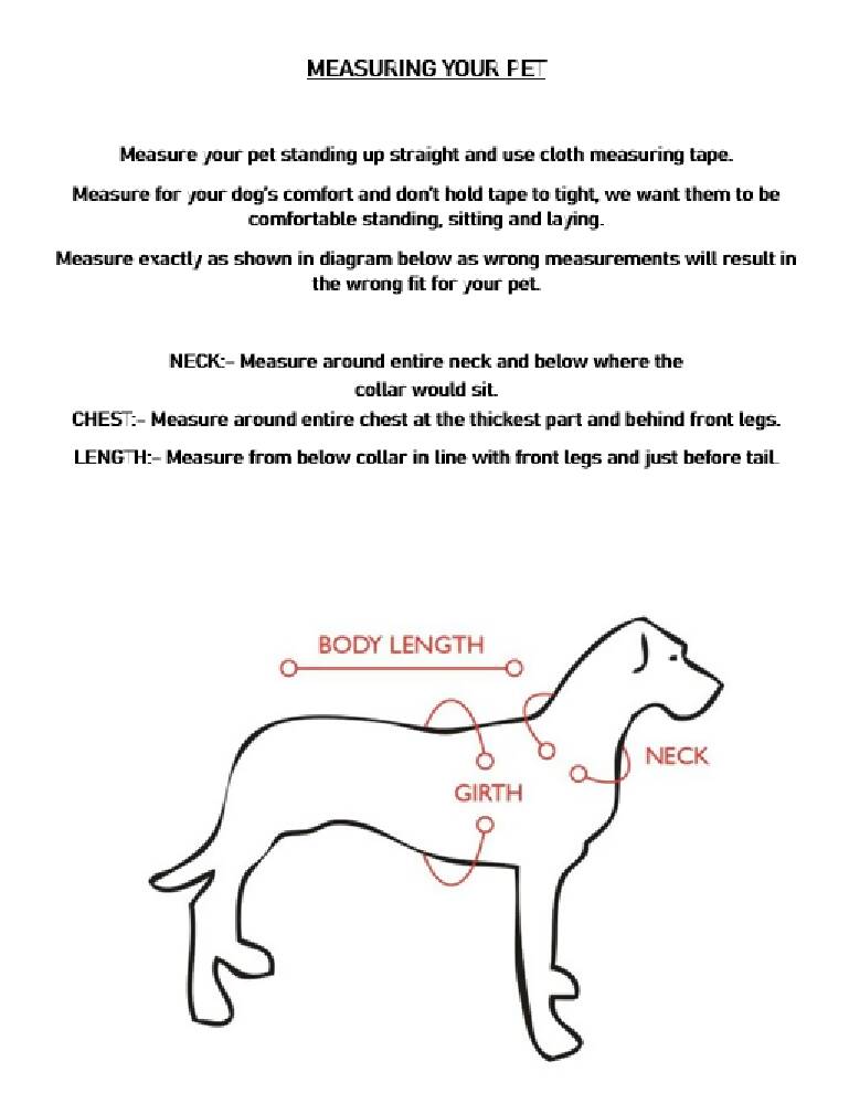 Measuring your pet