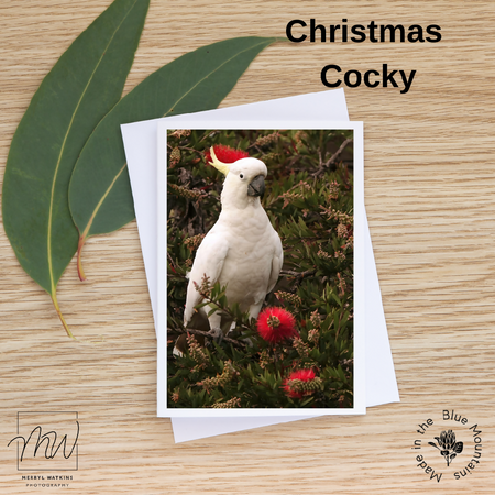 Christmas Cards - Australian Birds and Flowers - Photos