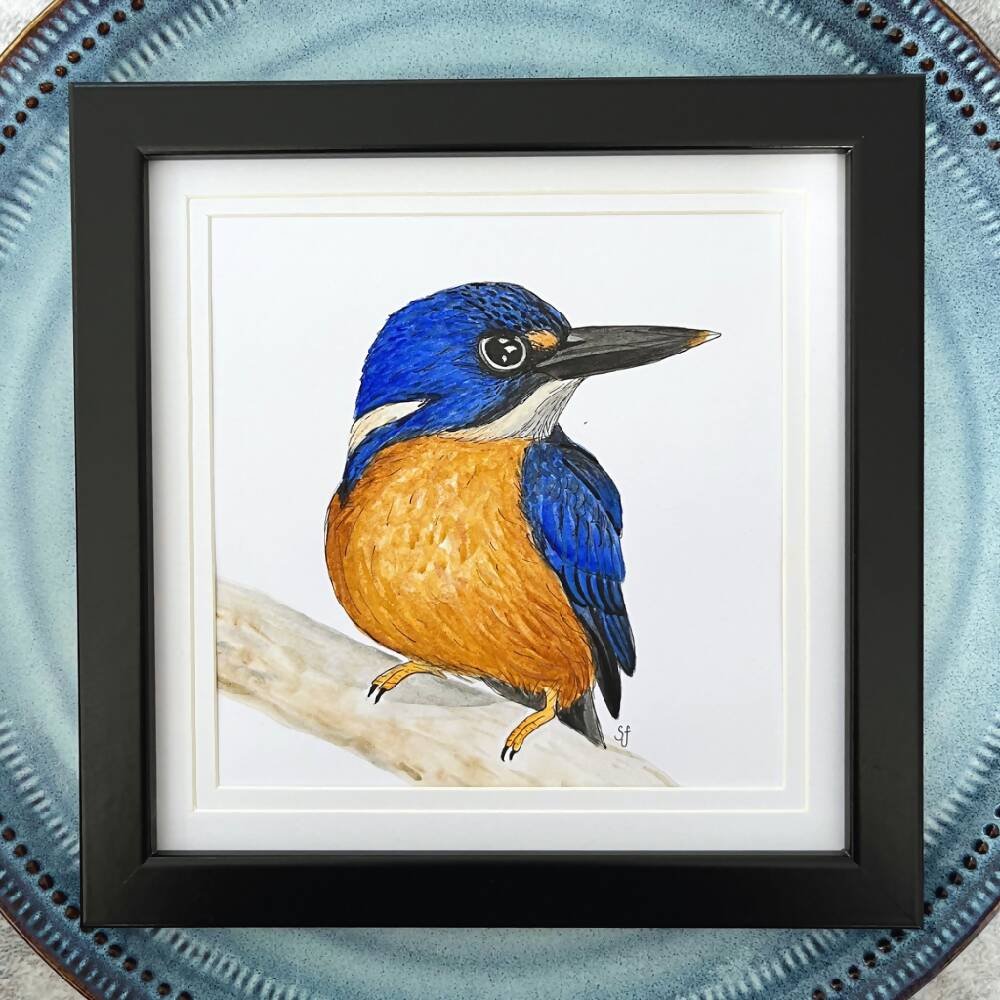 Azure kingfisher frame