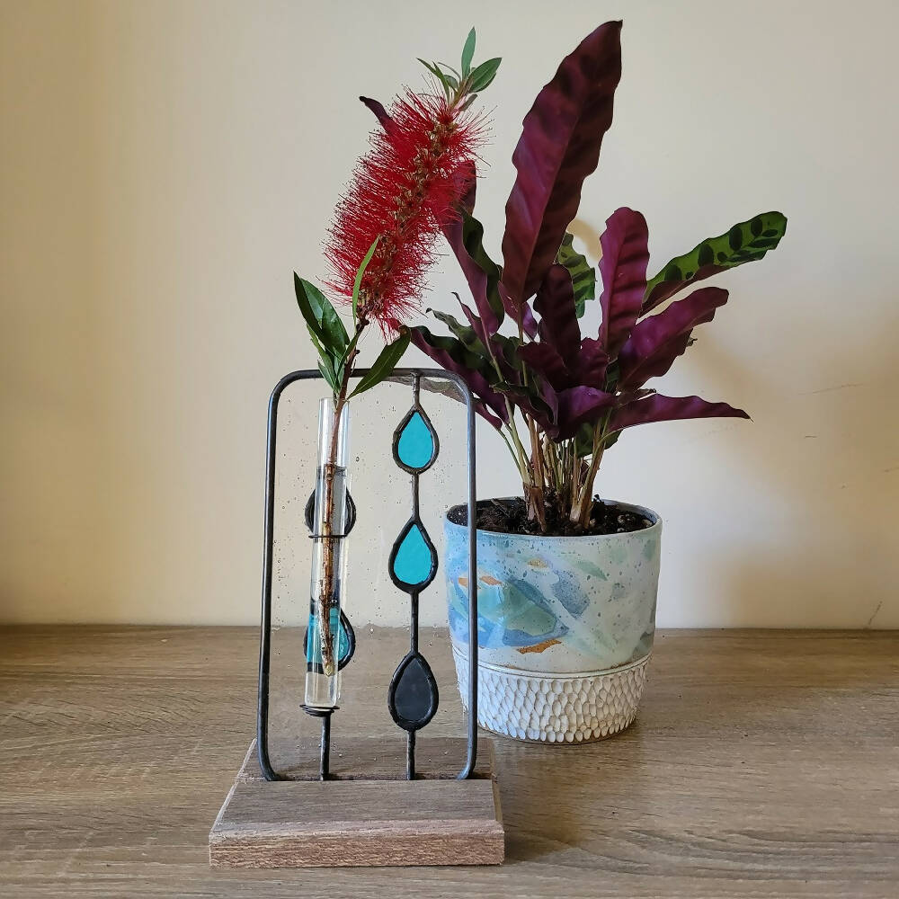 Raindrops - Propagation Station or Bud Vase