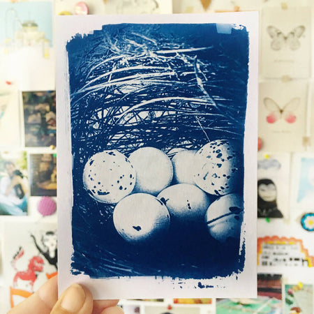 Bird Nest and Eggs Picture Original Cyanotype, Postcard Size
