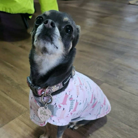 Dog Coat Jacket 26 Sizes Dachshund Pink Flannelette Fleece