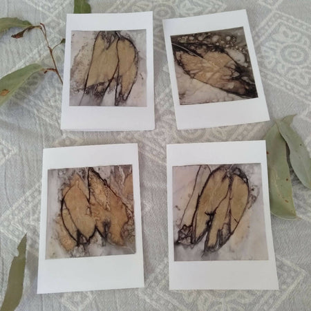 Cards original eco printed eucalyptus leaves, 4 pack