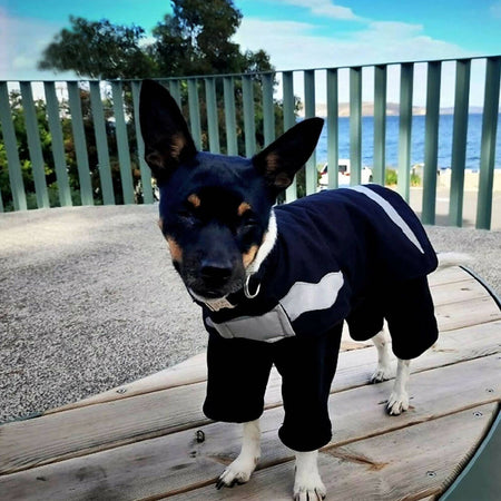 Tassie Devil Dog Coat - 2 sizes - XS-S & S
