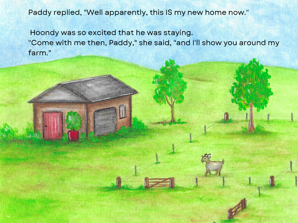 Paddy's book page 7