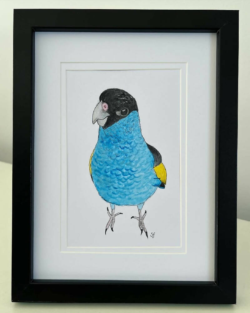 Hooded parrot frame