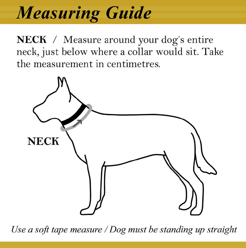 bandana measuring guide_for shop_low res