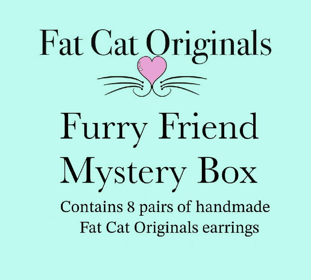 Earring Mystery Boxes