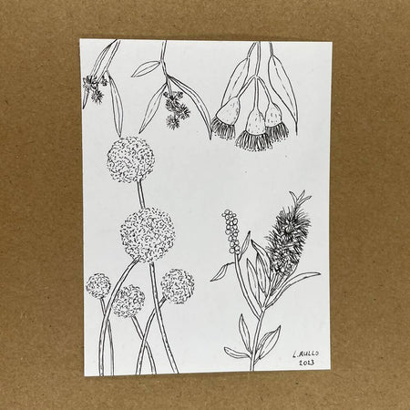 Australian Native Plants - Mini Drawing