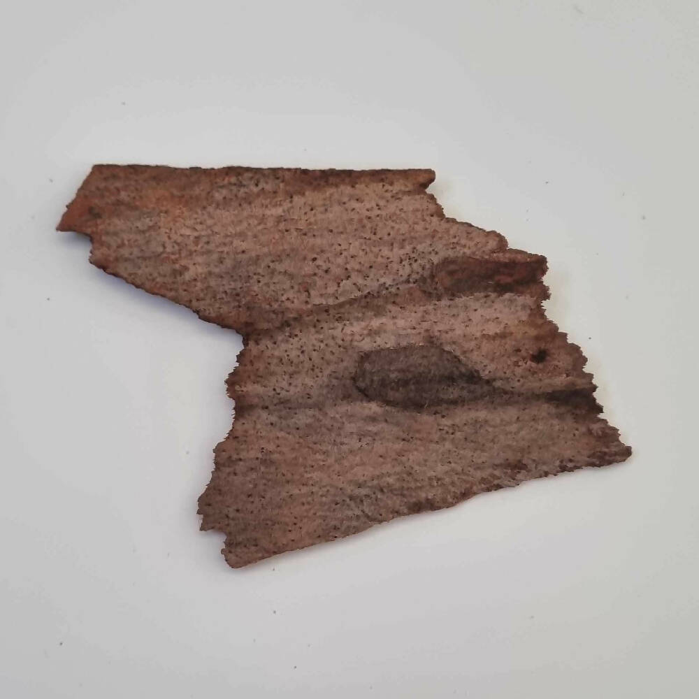 429308252_1468652980676405_7040259843422824403_n