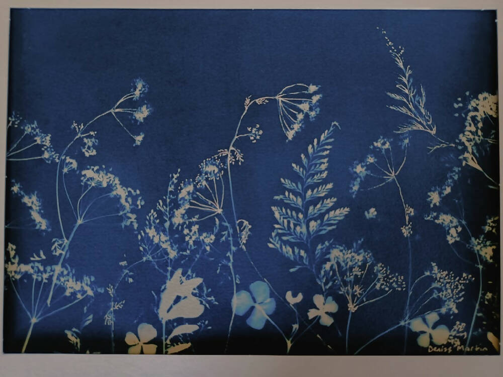 Meadow Mix - double exposure cyanotype original