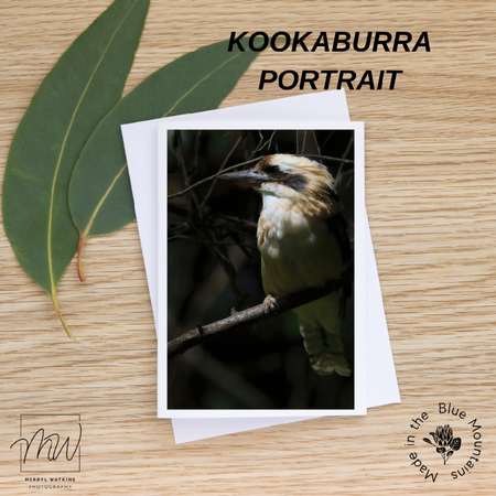 Blank Greeting Card - Laughing Kookaburra - Photo