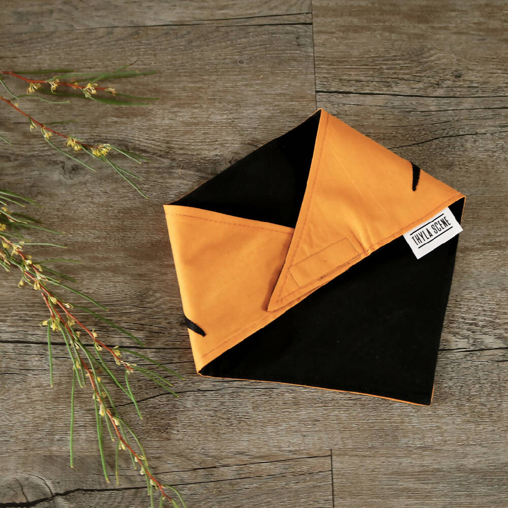 IMG 8827_S butterscotch prima b back folded_web