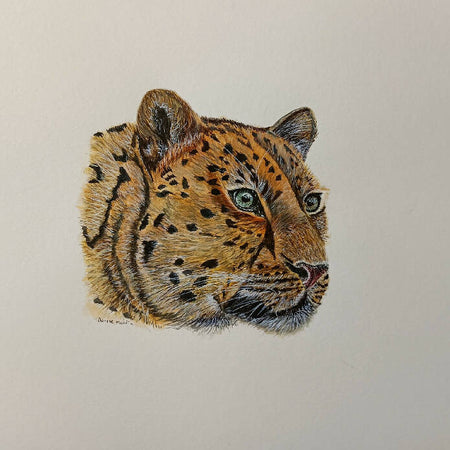 Leopard -Original watercolour painting