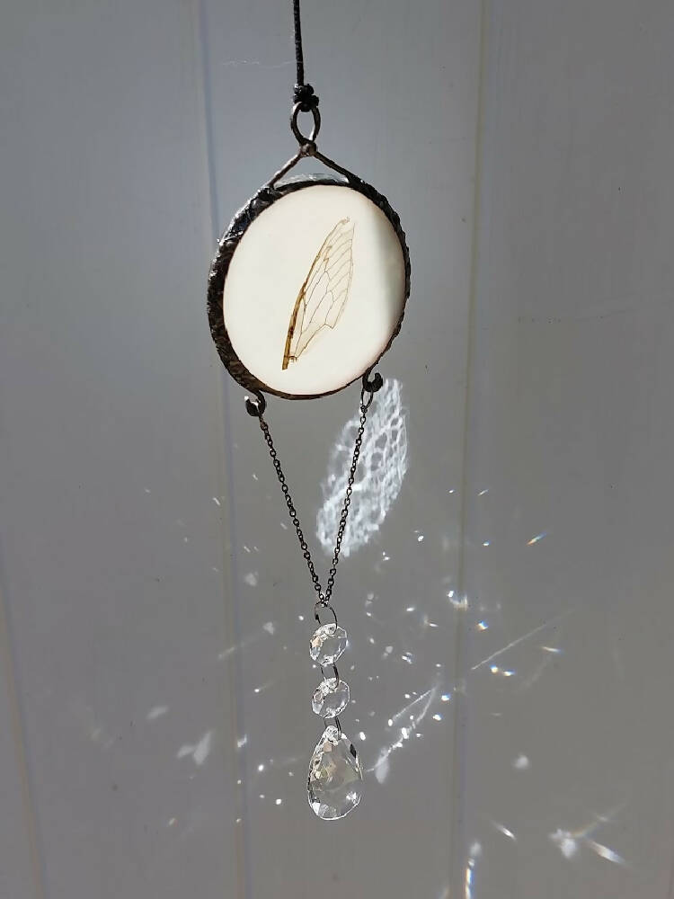 Real cicada wing suncatcher wall hanging with crystals