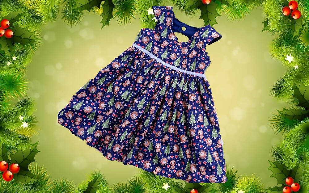 Baby Girls Xmas Dress, Echidna