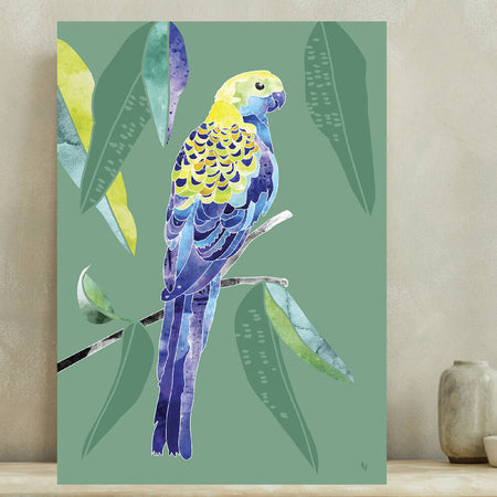 Pale Headed Rosella A2 PRINT ONLY