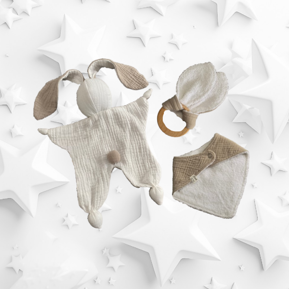 Brown Bunny Set back no tag-PhotoRoom (1)