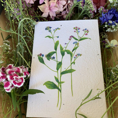 Forget me Nots Seeded Paper Greeting Card