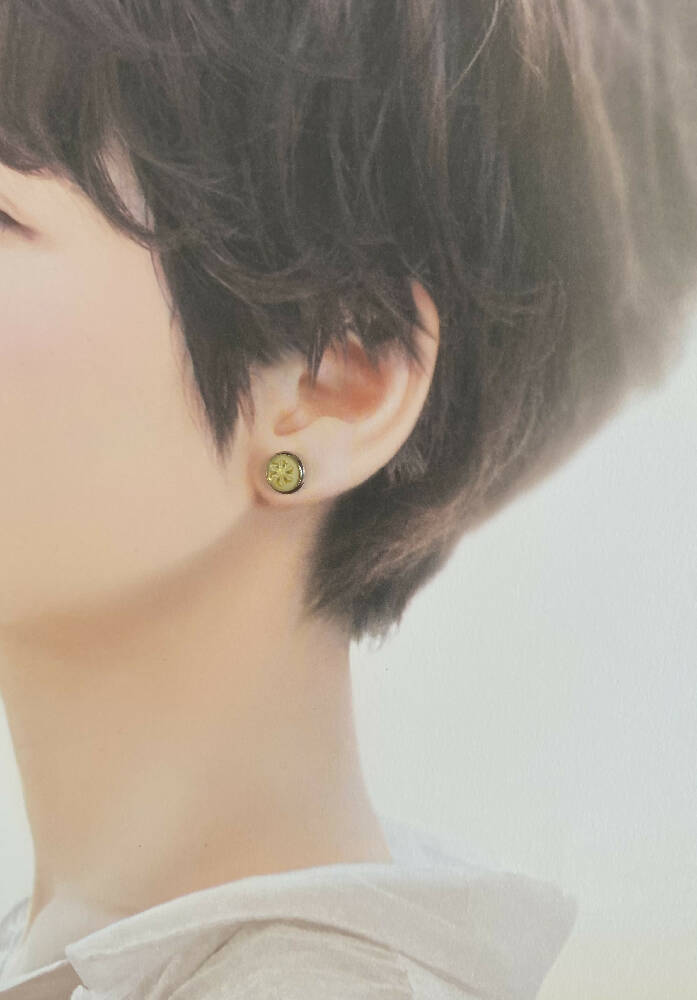 Fruit Resin stud earrings