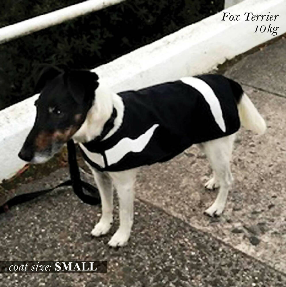 tassie devil coat_model_small_low res