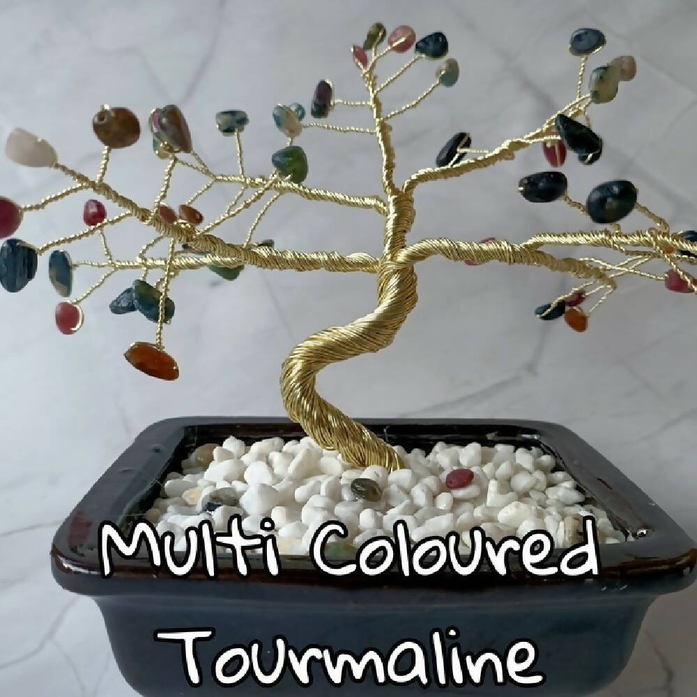 Multi Coloured Tourmaline Extra Specialty Gem Tree - 49 gems per tree
