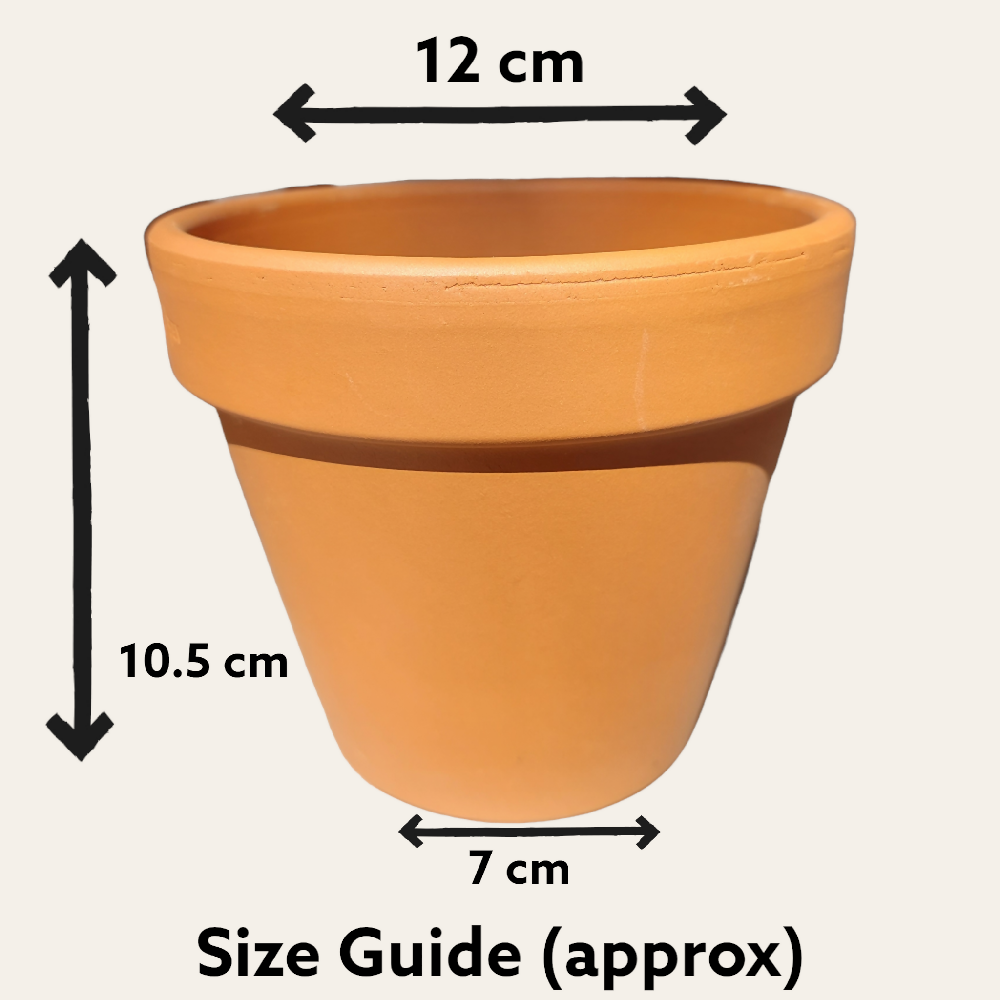 Hand Painted Terracotta Pot 12cm Black and Green Acrylic Pour