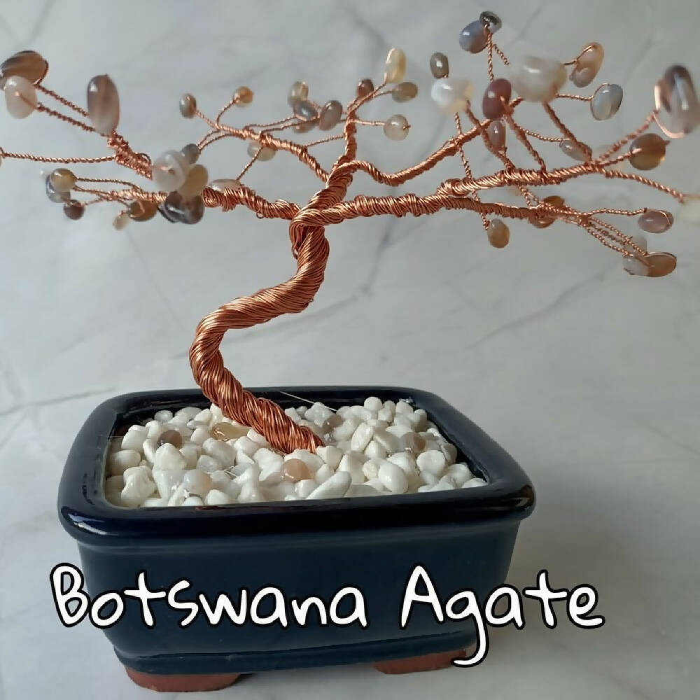 Botswana Agate Specialty Gem Tree - 49 gems per tree