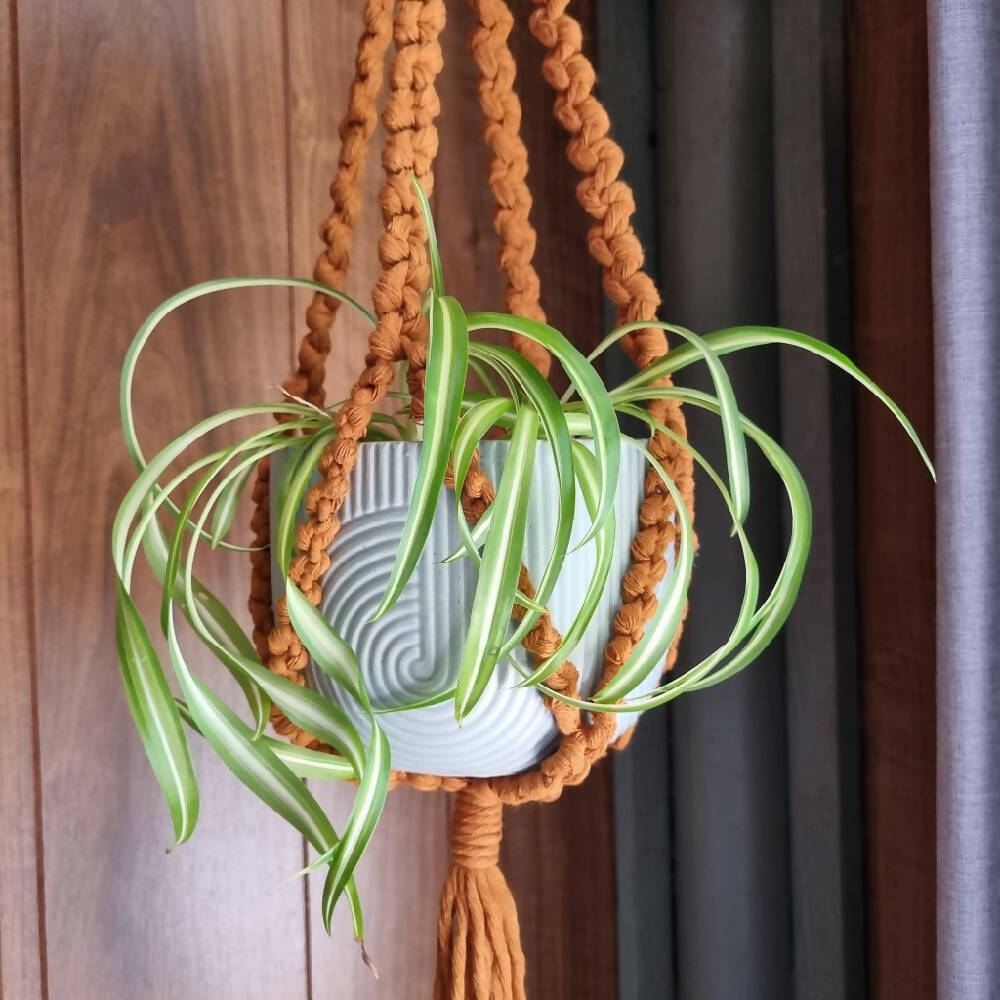 Macrame Plant Hanger - KEMENA