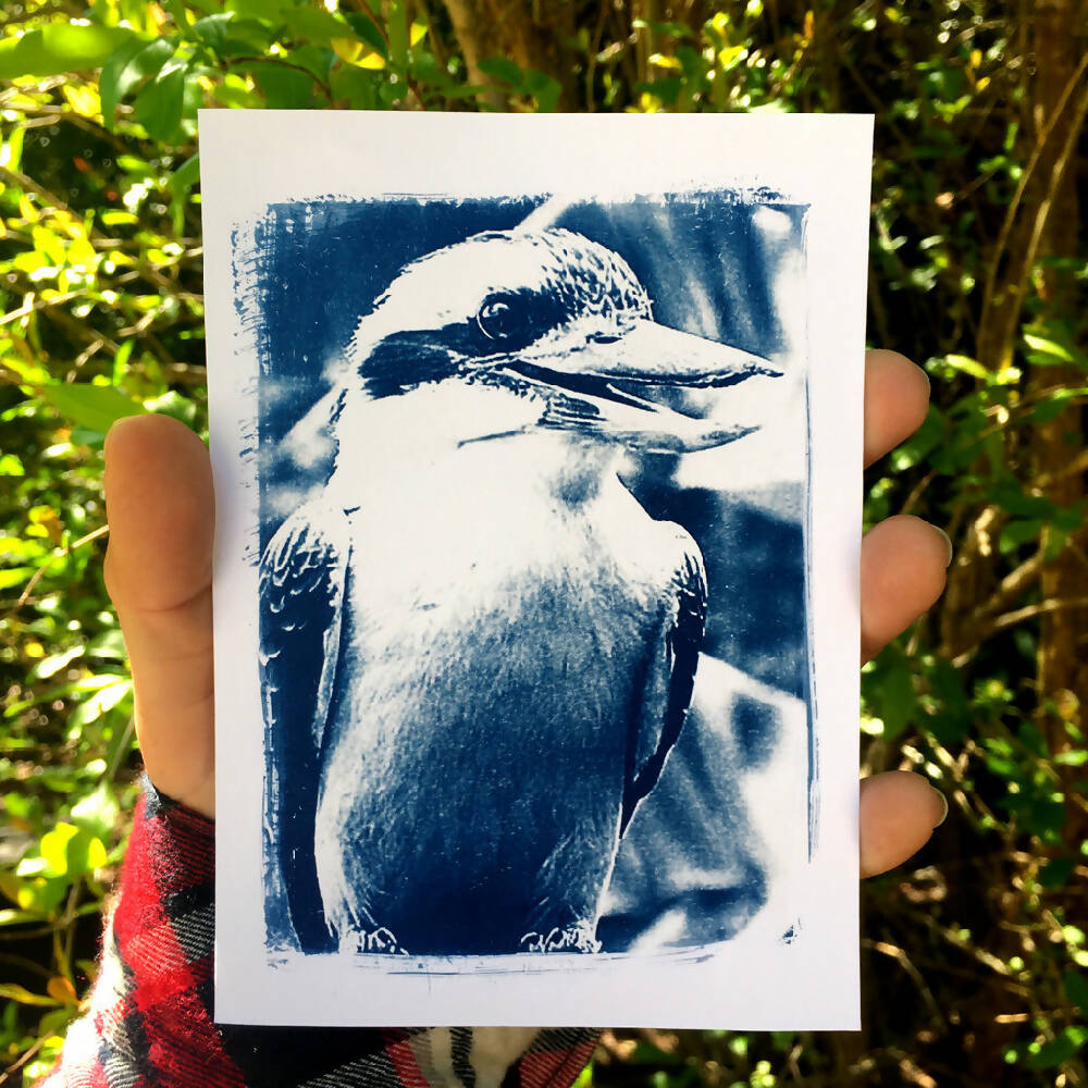 Kookaburra Art Print, Cyanotype Bird Art, Postcard Size 4x6 inches
