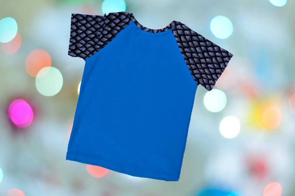Boys T-Shirt, Blue Monster Skate,