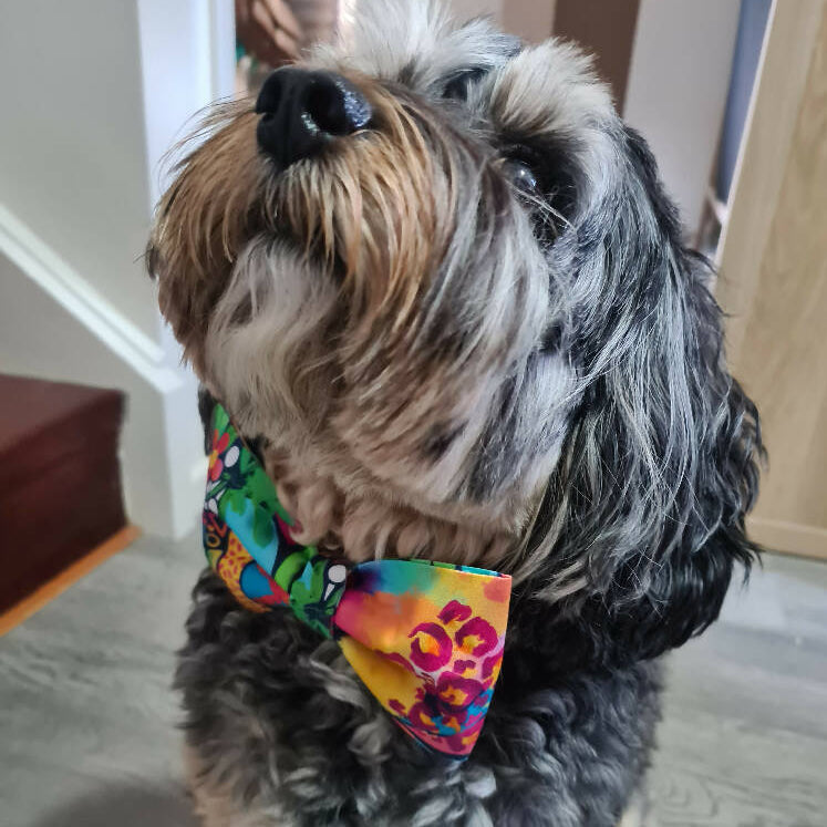 Pet Collar Bows - Colourful Abstract - Fabric Elastic Loops - Hair Bow