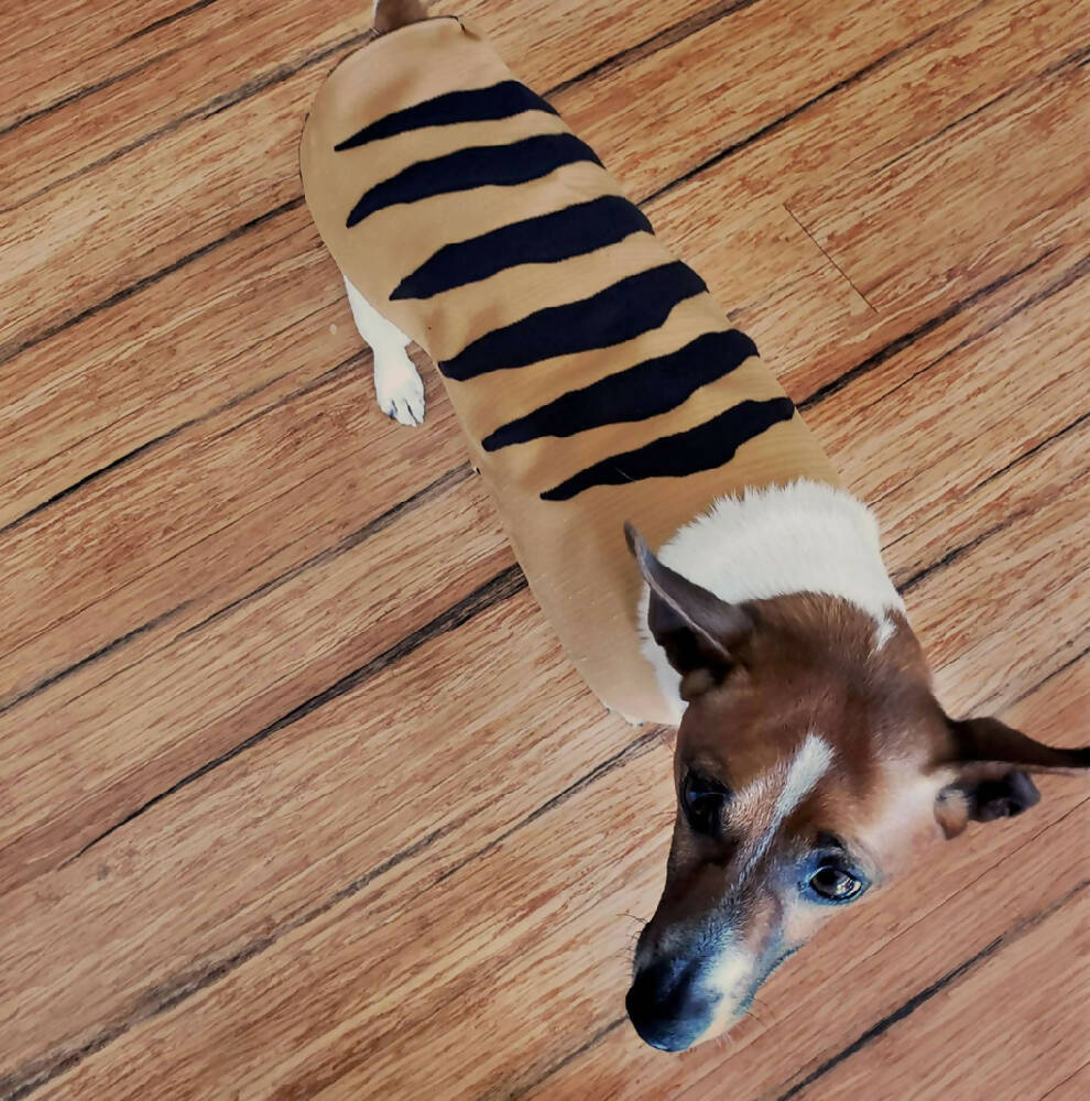 mad dog mustard_model_small_low res