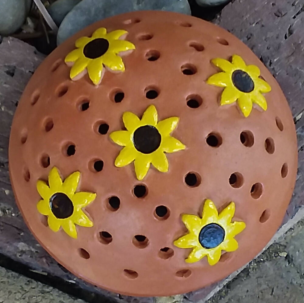 20230912_144026sunflower