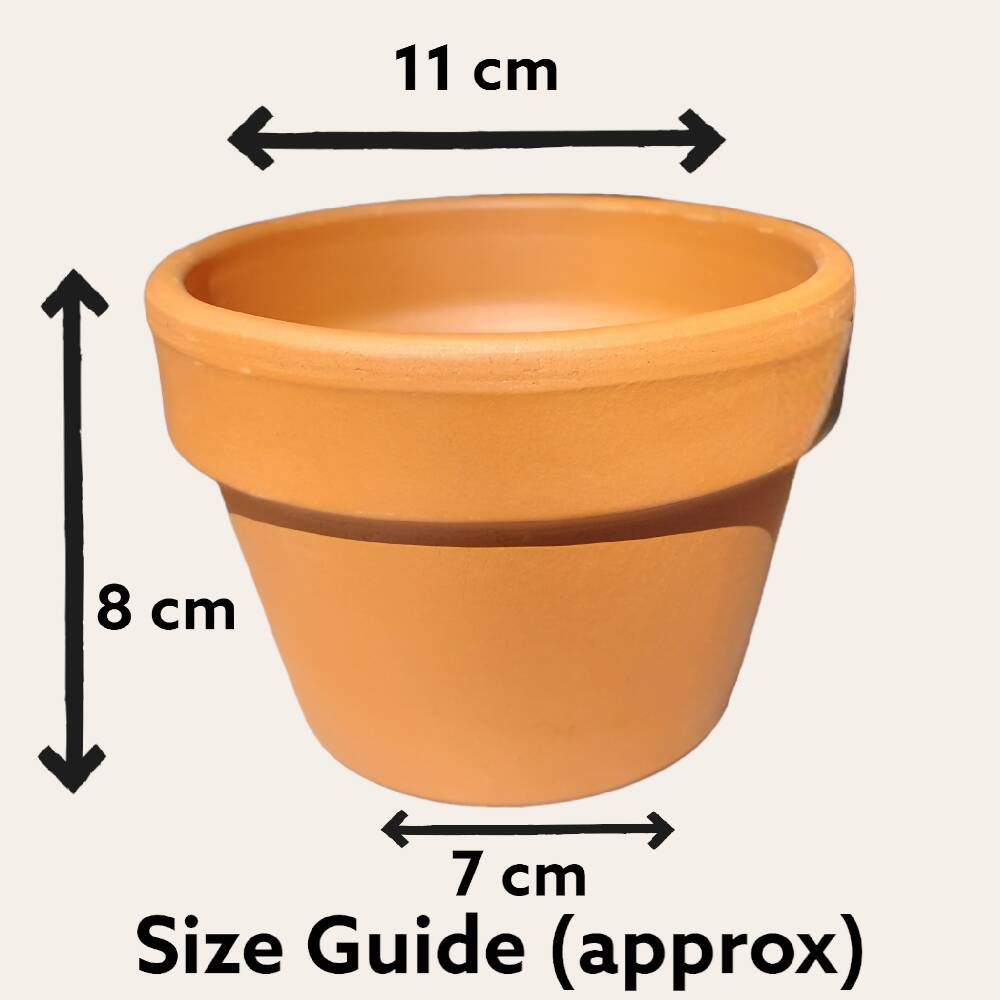 Peachy Golden Acrylic Poured Squat Small Terracotta Pot