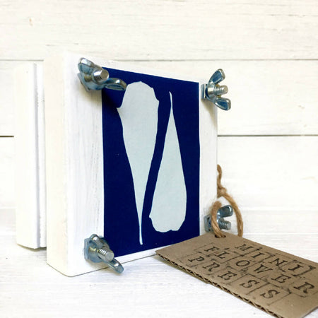 Mini Flower Press, decorated with Banksia Leaves Cyanotype Art