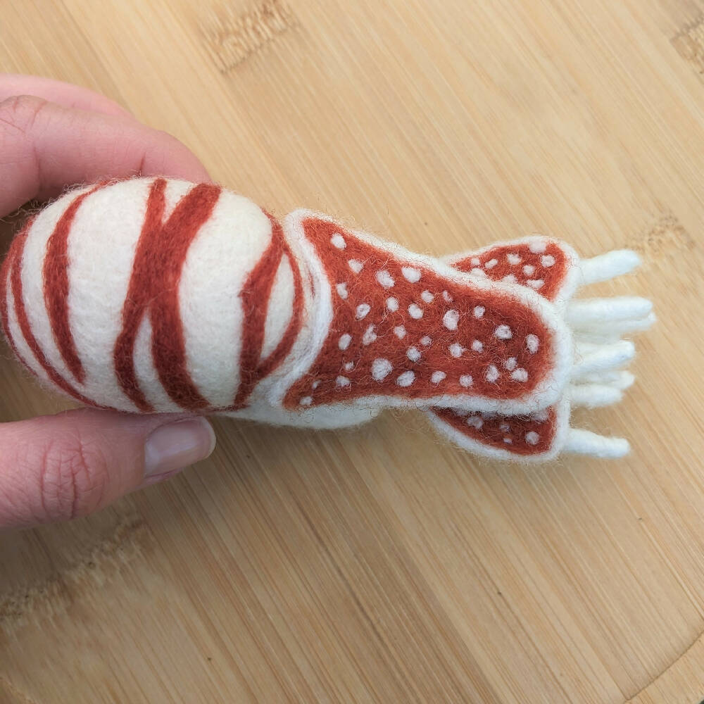Wool Nautilus - Needle Felted Cephalopod Figurine